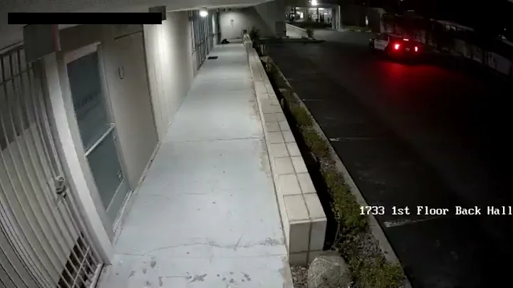 Real-Time Surveillance Captures Trespasser Trying to Hide!