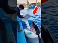 Orca minum es batu ⁉️😲