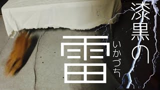 闇を切り裂く漆黒のウサギ　#816