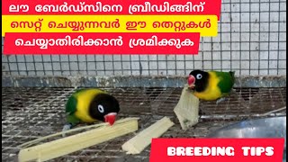 Love birds നെ ശരിയായ രീതിയിൽ എങ്ങനെ ബ്രീഡിങ്ങിന് സെറ്റ് ചെയ്യാം|breeding tips for love birds #birds