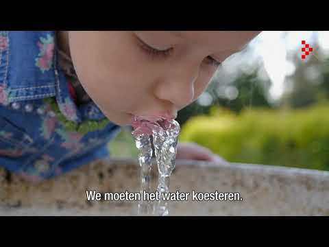 Provincie Noord Brabant   Water en bodem 2021