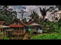 Bobojong gunung sawung perumahan terpencil di pinggir hutan adem ayem bikin hidup tentram