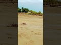 Hidden Paradise In Kenya Kibokoni Village Revealed 