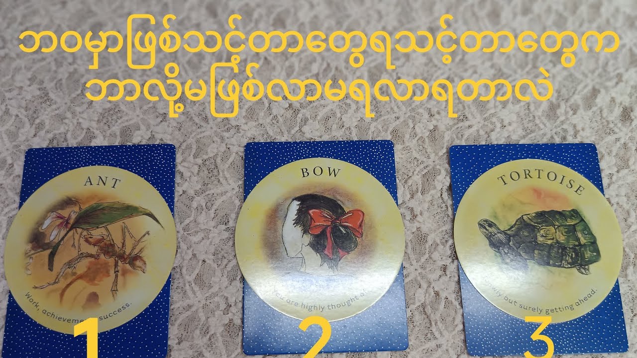 #ဘဝမှာဖြစ်သင့်တာရသင့်တာတွေကဘာလို့မဖြစ်လာမရလာရတာလဲ#thephoenixtarot 