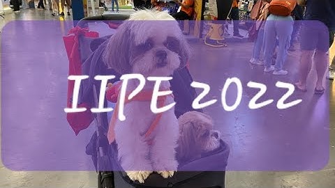 #43.IIPE  2022