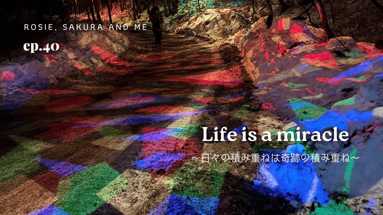 １月の終わりのある日｜犬と暮らすカナダ