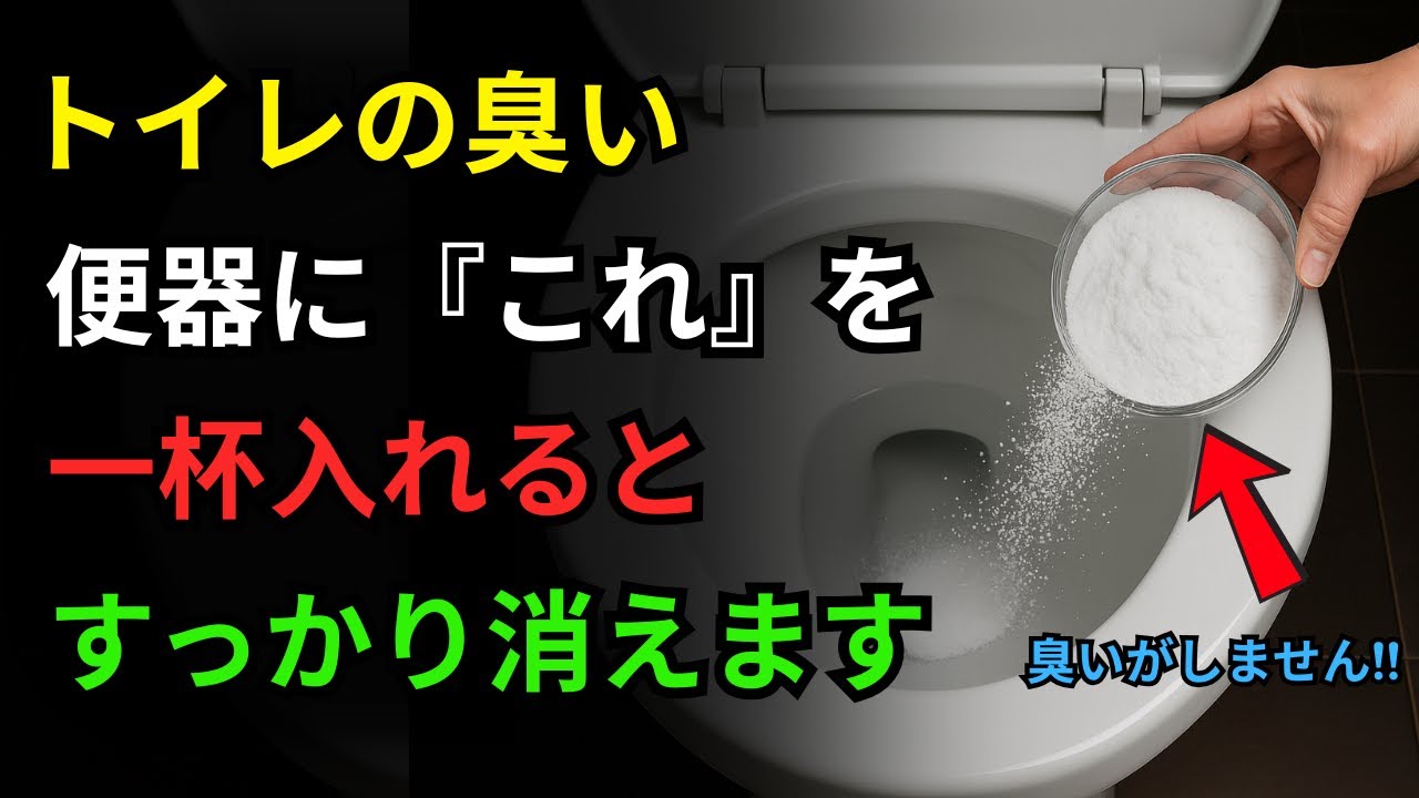トイレの臭い、便器に『これ』を入れると100％除去できます。じめじめした排水口の臭いも解消。知らないと損！70歳の高齢者も驚いた便器の臭い取り黄金比率を初公開。