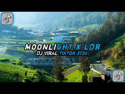 Live DJ Set @ Tijdverdrijf | Dancehall, Shatta, Reggaeton \u0026 Latina Vibes | Stadslab Closing Set