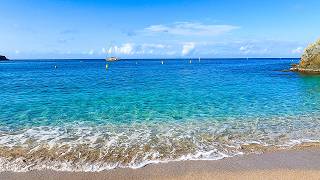 Journey to Happiness: Serene Shell Beach Tranquility (4K)