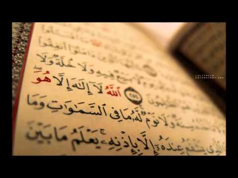 سورة الأحزاب عبدالمحسن القاسم