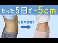 【お腹激痩せ】たった5日腹囲が-5cm！腰が痛くない腹筋トレーニングABS workout【ENG SUB】