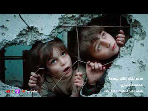 ما لم تقله زرقاء اليمامة محمد عبدالباري تسجيل جديد