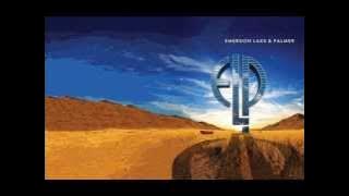 ELP - From The Beginning (Instrumental cover)