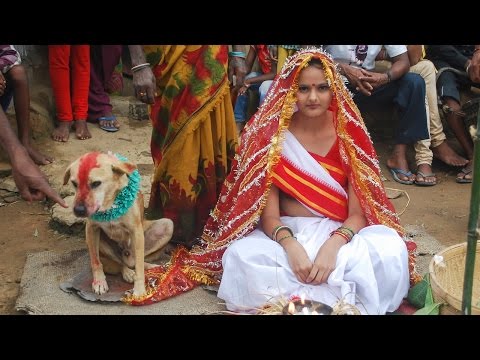 Woman Marries Dog In Traditional Ceremony In India