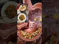 क्यों खाना खाने के तुरंत बाद पानी नहीं पीना चाहिए? (खतरनाक सच)#FitFocus #DigestionTips #viral