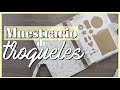 🌱 TUTORIAL ARCHIVADOR para MUESTRARIO DE TROQUELES ✨ Organización scrapbooking ✨ Laura Inguz