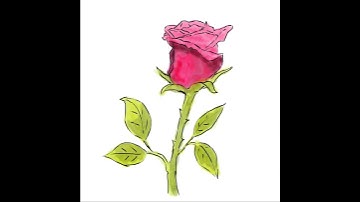Corel Painter 2023 - Drawing and watercolouring a rose #shorts #art #watercolor