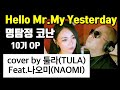 Hello Mr. My Yesterday (명탐정코난 10기 OP / 애쉬그레이) - cover by 툴라 (Feat.나오미)