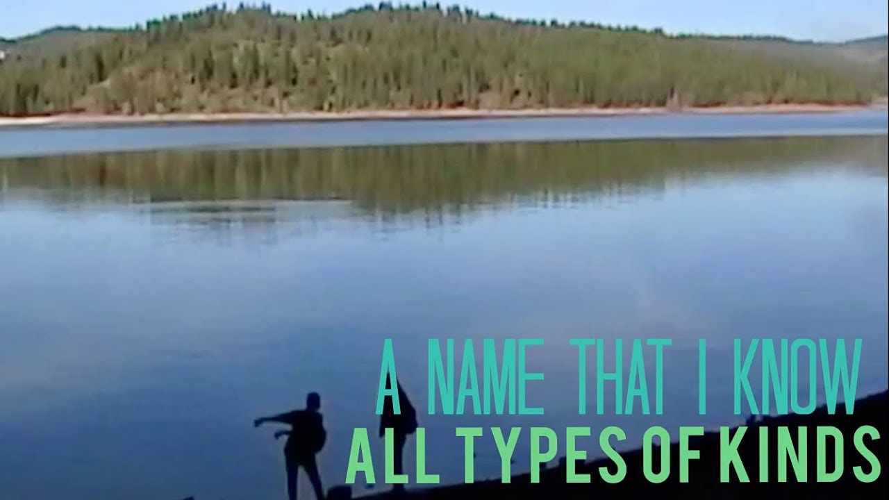 All Types of Kinds - A Name That I Know - YouTube
