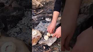 Yaylada Kaşarlı Mantar Közleme