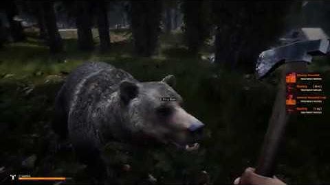 Getting Started! - Mist Survival: Day 1