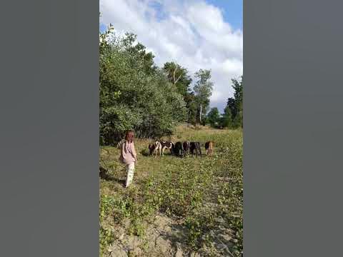 МАССОВКА - YouTube