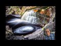 Landscape Photography with the Canon M50- Woodland &amp; Waterfalls Collaboration