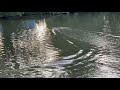 3500kv brushless R/C boat