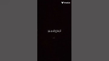 قران كريم بصوت الشيخ ياسر الدوسري #قران #اكسبلور #لايك #قران_كريم