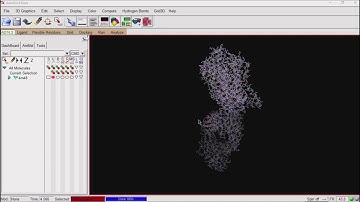Video 4: Preparing your macromolecule and ligand using Autodock Vina (2/3)