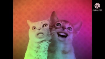 Preview 2 Numa Cat V16 Effects (Inspired by Preview 2 Effects)