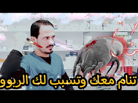 حافظ عل جهازك التنفسي من هذه الحشره عند نومك
