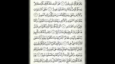 سورة التغابن | الشيخ سعد الغامدي