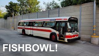 Fishbowl! - TTC 1982 GMDD New Look T6H-5307N No. 2252 - Hillcrest Complex Open House Special