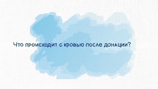 Что происходит с кровью после донации?