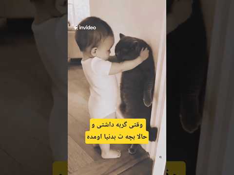 وقتی گربه داشتی و حالا بچه ت بدنیا اومده و حوصله شو نداره تکلیف چیه   