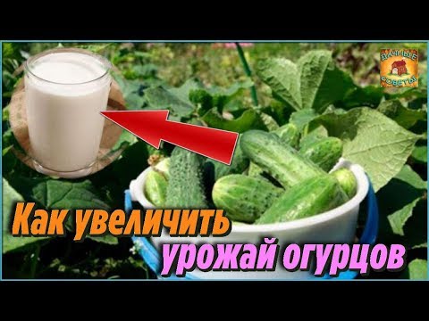 Вот как увеличить