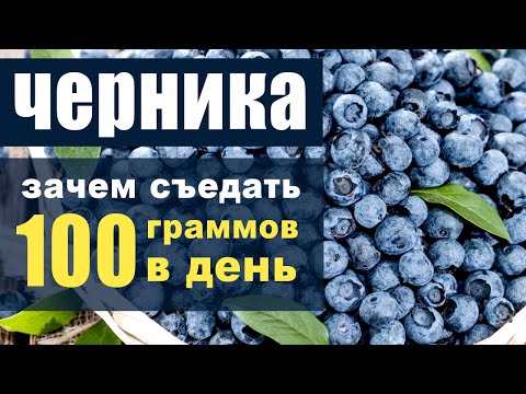 Черника – для чего нужно съедать 100 граммов в день?