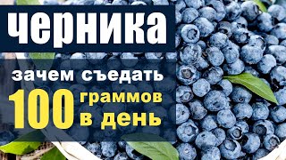 Черника - для чего нужно съедать 100 граммов в день?