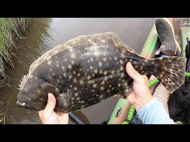 The BEST FLOUNDER RIG (LIVE BAIT) - How to Tie the Best Flounder