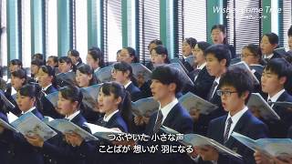 Kibou no Kakera / Kimi no Koe o Todoketai