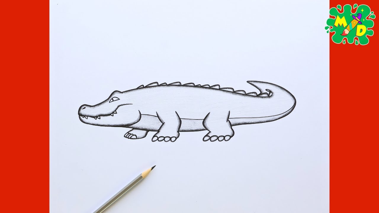 Как нарисовать крокодила поэтапно для начинающих | Урок рисования аллигатора