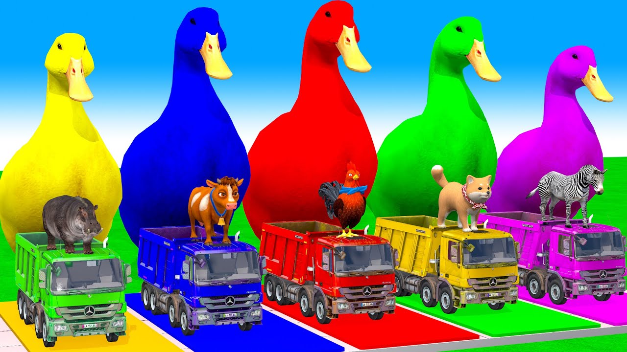 Long Slide Game With Lion Elephant Gorilla Hippopotamus Tiger - 3d Animal Game - Funny 3d Animals