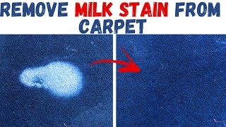 How to Get Milk Out of Carpet With No Effort | House Keeper