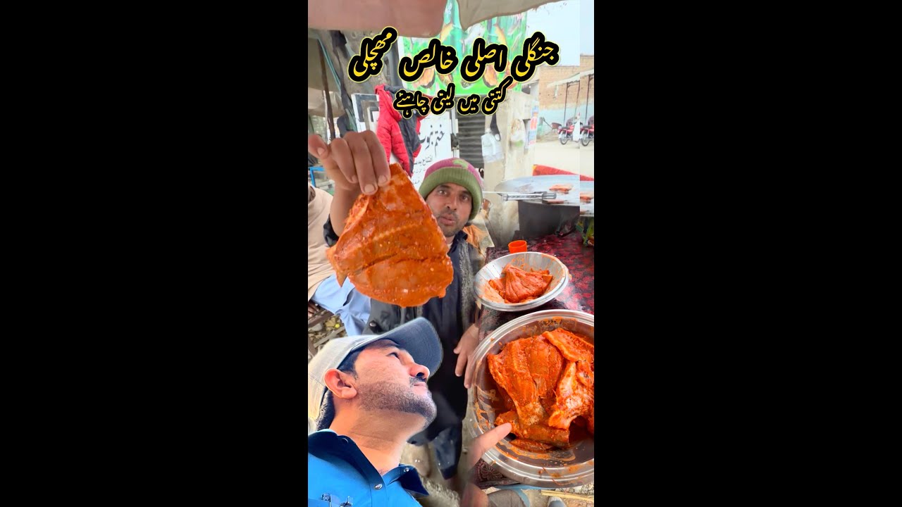 I'll see to the end if I did this right after catching the fish | اخر تک دیکھوں میں نے یہ کام صحیح ک