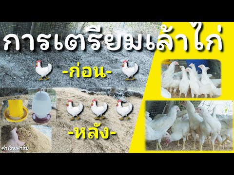 วีดีโอ: วิธีการเตรียมเครื่องเคียงสำหรับไก่
