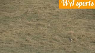 Decoy Doggin With Wyoming Hunts