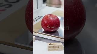 What Happens When You Laser Engrave Food? #shorts #wattsan #lasermarking