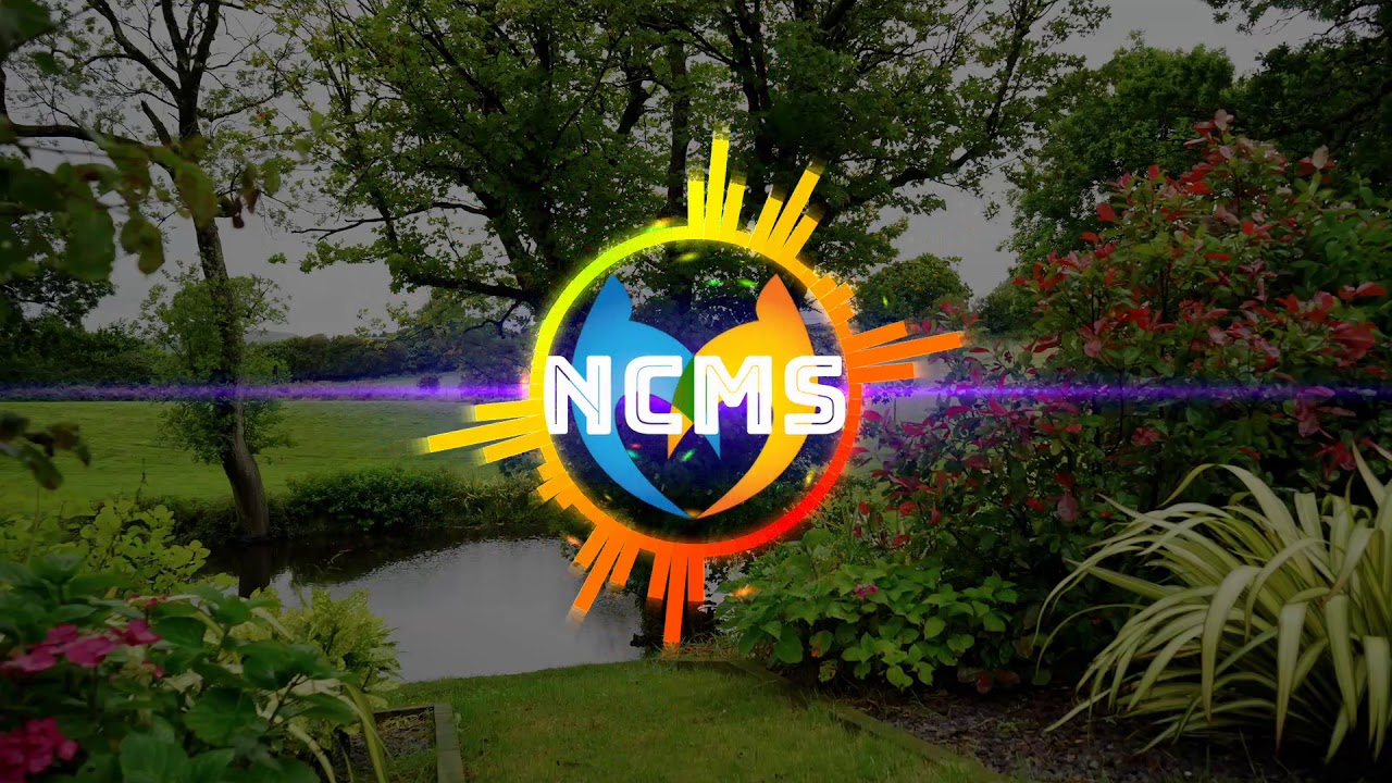 Markvard Feel My Love (Vlog No Copyright Music) [NCMS audio library] Royalty free music no copyright