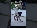 funny